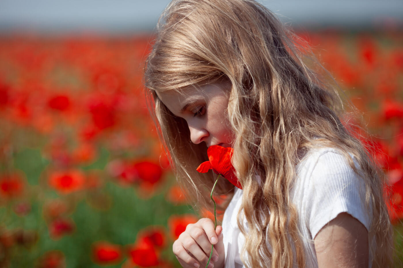 A photo shows a girl sniffing a flower.