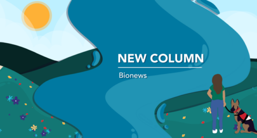 new column banner image